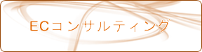 ECコンサルティング
