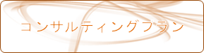 コンサルティングプラン